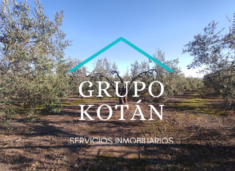 Foto 806324bd-1ee2-4aa6-9ce7-ec2dd28ae730. Masía en avenida del rocio 6 inversión finca rústica regadío olivo sevilla aove en Huévar