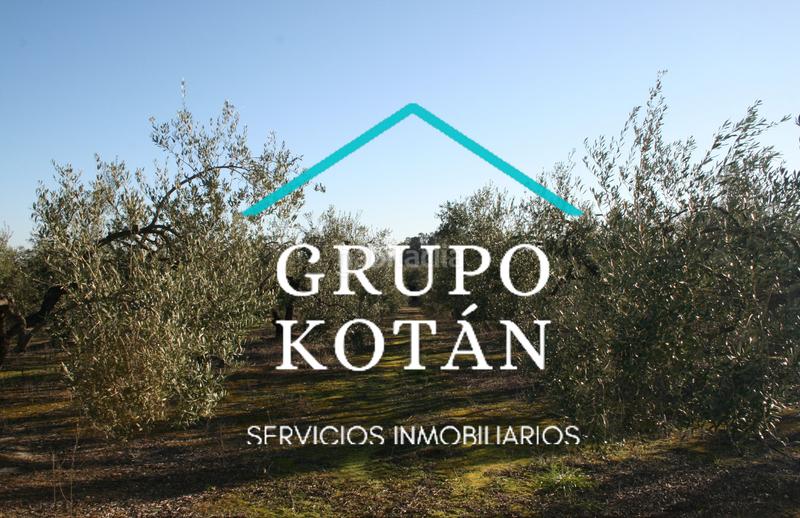 Foto 8926a4c4-834c-4a1b-9270-9b95ec710844. Masía en avenida del rocio 6 inversión finca rústica regadío olivo sevilla aove en Huévar