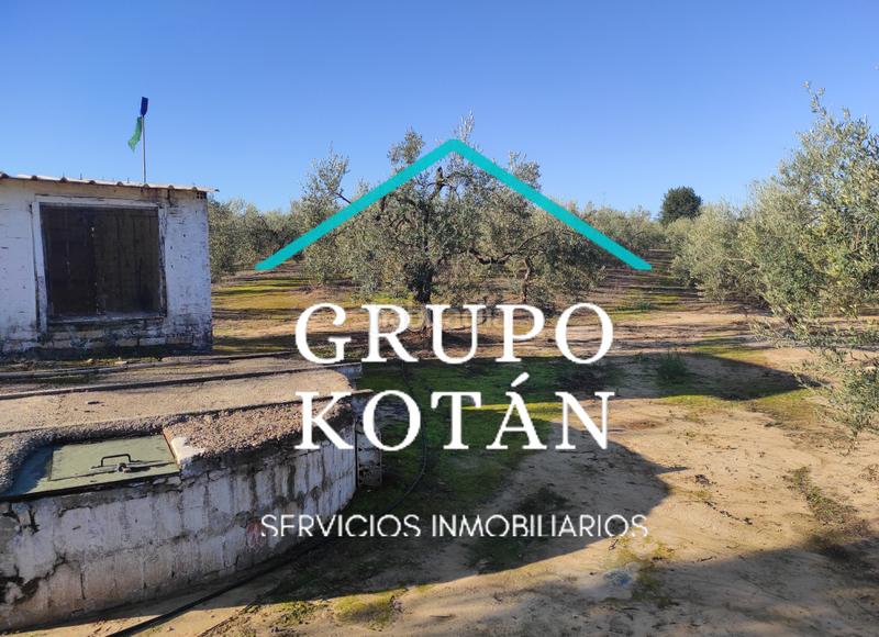 Foto 913322e5-fd5d-467b-8fd6-26e0a41e7e1e. Masía en avenida del rocio 6 inversión finca rústica regadío olivo sevilla aove en Huévar