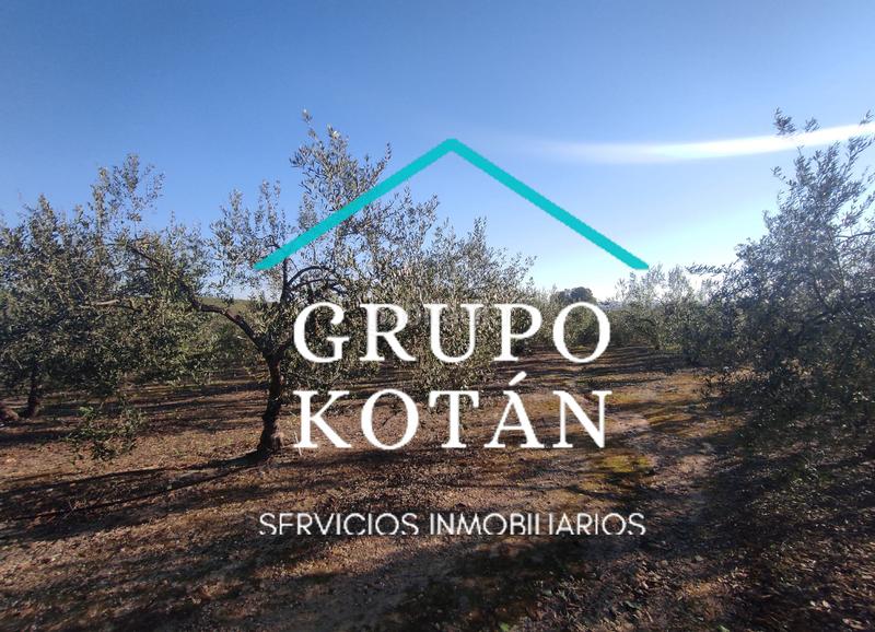 Foto 91bca5e7-8f62-475c-8fff-cf248a9948ec. Masía en avenida del rocio 6 inversión finca rústica regadío olivo sevilla aove en Huévar