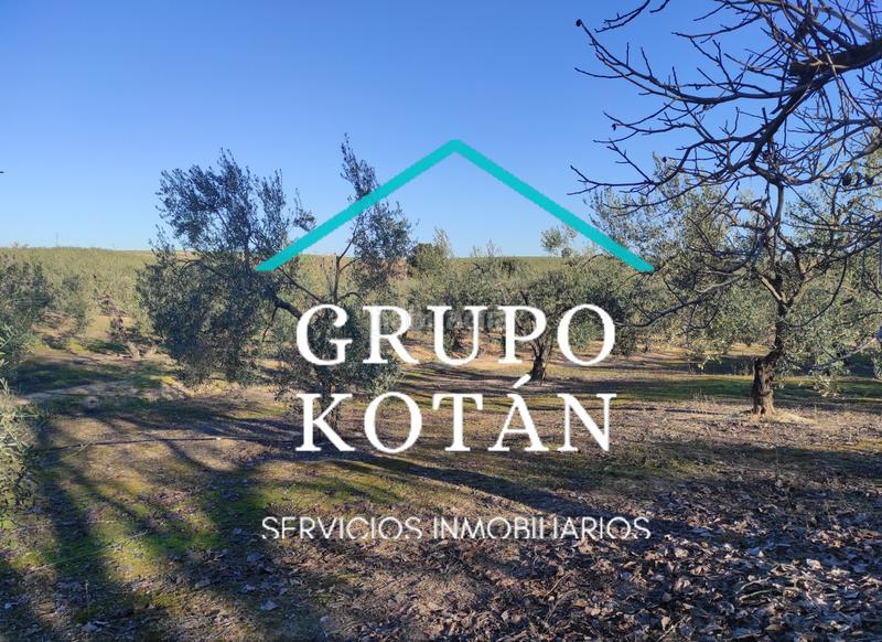 Foto 94295443-0f6d-46e4-97e9-a4415c90b0b5. Masía en avenida del rocio 6 inversión finca rústica regadío olivo sevilla aove en Huévar