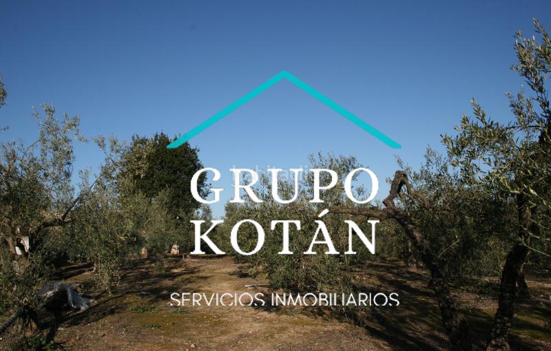 Foto a437e5cc-1104-43f2-829c-1a454b17aba6. Masía en avenida del rocio 6 inversión finca rústica regadío olivo sevilla aove en Huévar