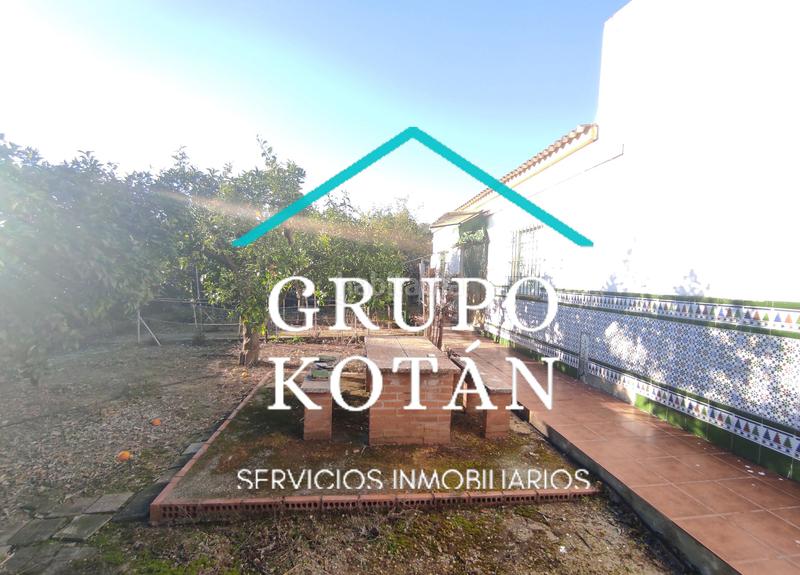 Foto ad8d23d4-d55e-4aa7-b0c7-d145d2f5021c. Masía en avenida del rocio 6 inversión finca rústica regadío olivo sevilla aove en Huévar