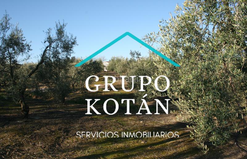 Foto ae9672e5-2ae3-4563-a327-632fbad2e5ca. Masía en avenida del rocio 6 inversión finca rústica regadío olivo sevilla aove en Huévar