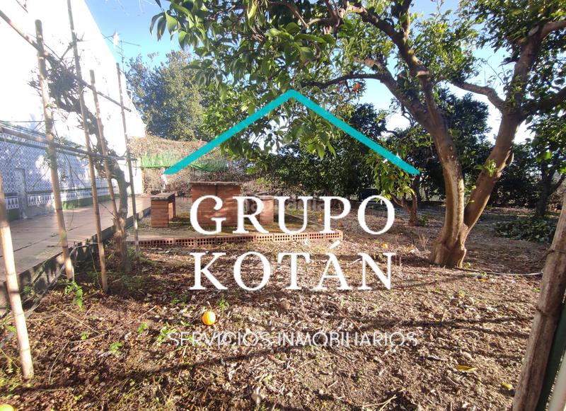 Foto f1f1aaff-69a7-4213-90b8-912b41d0c5ac. Masía en avenida del rocio 6 inversión finca rústica regadío olivo sevilla aove en Huévar