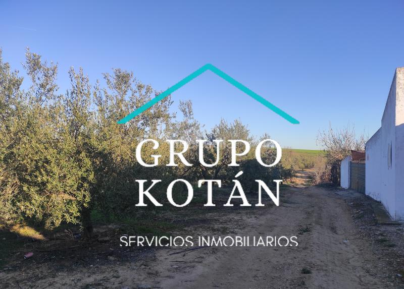 Foto f40908d7-81e9-49cf-ae22-47574b68684e. Masía en avenida del rocio 6 inversión finca rústica regadío olivo sevilla aove en Huévar
