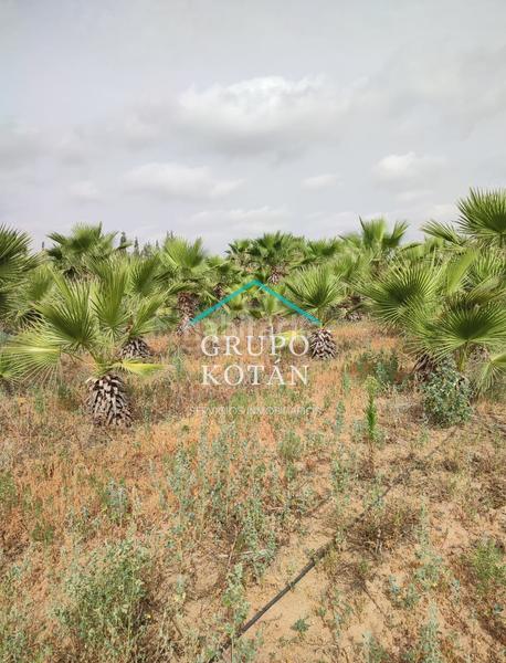 Foto 6ce4c775-bdb7-4b9e-a82d-06d7026dca3f. Landgut in Almonte Almonte