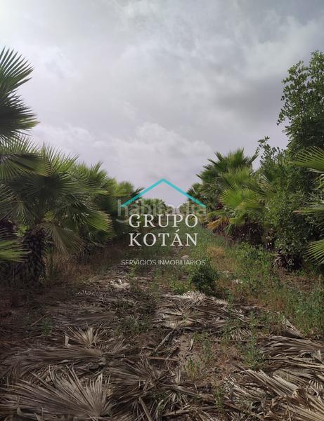 Foto a3e839fb-0a02-43af-b91a-06e6ba342dc8. Landgut in Almonte Almonte