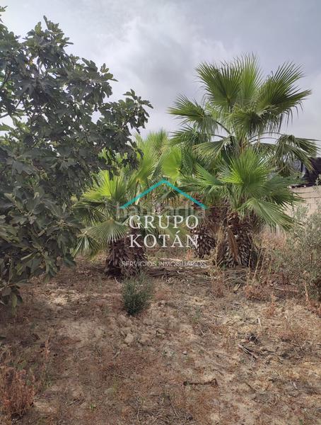 Foto aa8e1c4d-c417-421a-bfb3-4841f0cbbb39. Landgut in Almonte Almonte