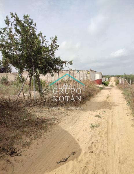 Foto ac6730f0-d70a-4df5-aed8-04bc97c88065. Landgut in Almonte Almonte