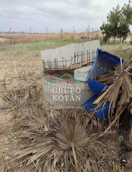 Foto cab483e6-cd30-49e0-aa29-01cdc8ceee3b. Landgut in Almonte Almonte