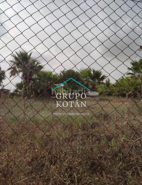 Foto e1eb30d1-aeec-41a5-a780-580441f481d6. Landgut in Almonte Almonte