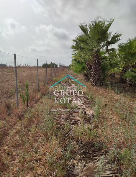 Foto e5ade902-d83b-46ae-9e3b-8b344189c925. Landgut in Almonte Almonte