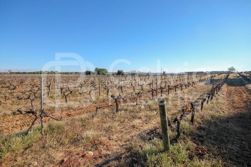 Foto e8543335-8e7c-4c13-ab19-5e4e8498b44e. Country house with heating pool in Banyeres del Penedès