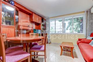 Pis  D'europa. Tu nuevo hogar