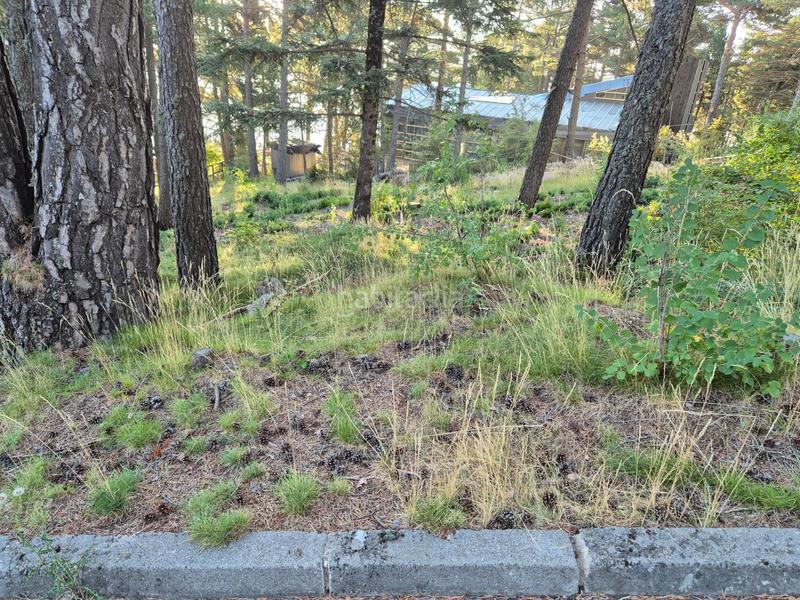 Foto 38a99715-fdce-4f19-913d-0483c0e2b865. Residential plot in Coma i la Pedra (La)