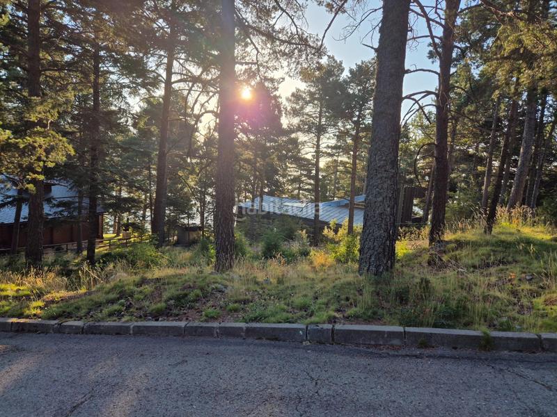 Foto 63a6abd2-aa36-467d-b4db-5ab535eee800. Residential plot in Coma i la Pedra (La)