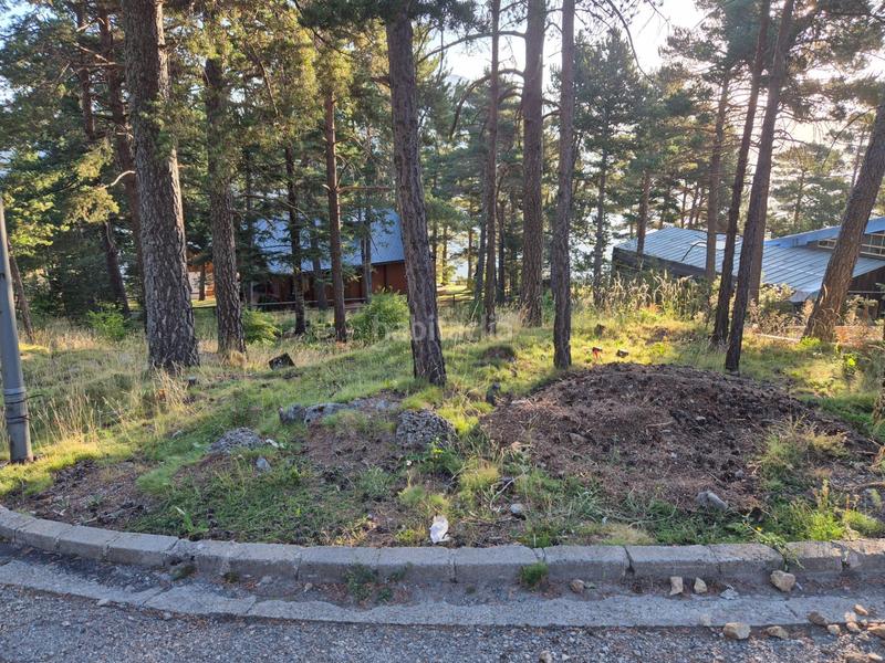 Foto acb12f6d-a75d-4c97-a964-6975aff6aabf. Residential plot in Coma i la Pedra (La)