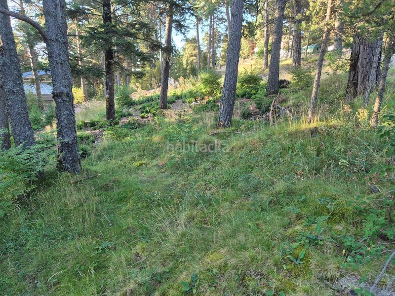 Foto ca872293-960b-42e8-8a8a-d9f6e4737d98. Residential plot in Coma i la Pedra (La)