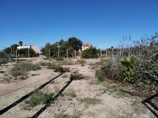 Terreny residencial a Deltebre. Solar urbano de 988 m2