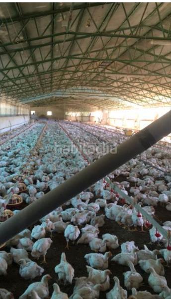 Foto 977ef425-8a62-4b5e-960f-22eb3766affe. Industrial building with heating in Muíños