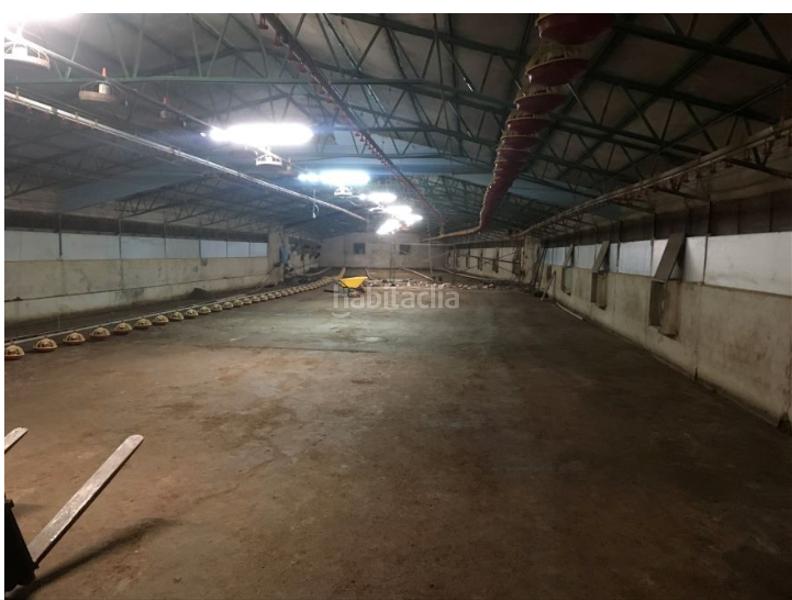 Foto b9518e0d-06f5-4d3b-ba27-68865381b3bb. Industrial building with heating in Muíños