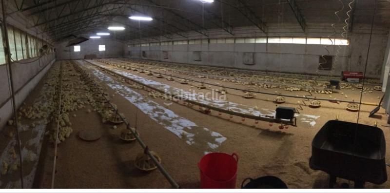 Foto d2b07cf6-444b-407a-a273-e54b04f2a3e5. Industrial building with heating in Muíños