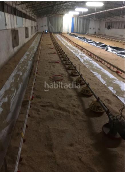 Foto f4a29625-0a3d-4f68-a178-7b94bf831c49. Industrial building with heating in Muíños