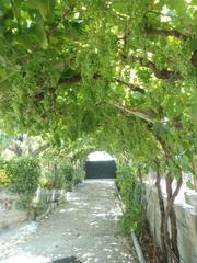 Haus in Vistahermosa. Casa unifamiliar independiente con terreno cerca a rabo de galo