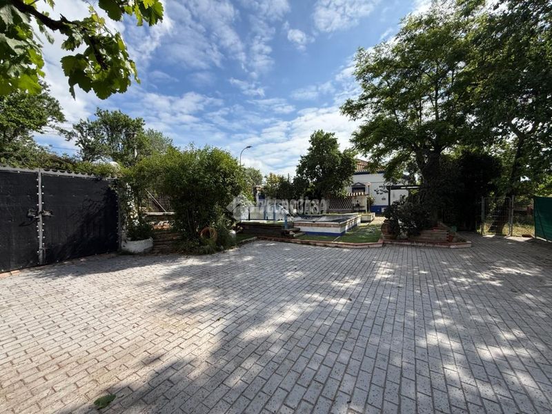 Foto 47313581-ce23-41e4-b20f-2e89005e392c. Casa a Parque Guadarrama Móstoles