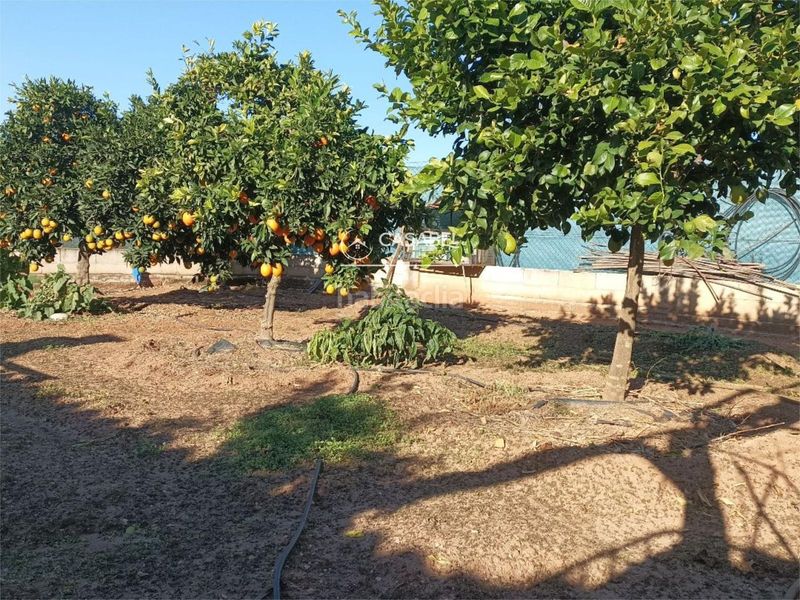 Foto c98fc90f-48ea-4fa2-8b6f-8eb71aa11baa. Casa amb aparcament a El Higuerón Córdoba