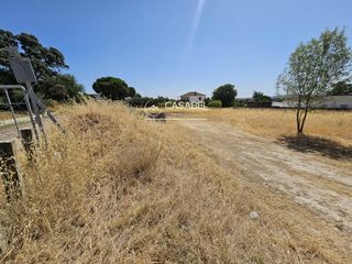 Rural plot  Los frutales. Terreno de 3.000m2 urb. valenzoneia