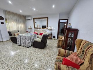 Pis a Fátima - Levante