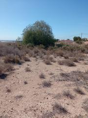 Terreny residencial a Calle vall de galligants 3. Oportunidad, parcela urbana con paro de edificabilidad en mutxam