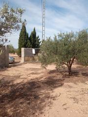 Finca rústica  Polígono 11 parcela 342 el toll. biar (alicante). Parcela todo vallada con arboles de olivos en producción y casa