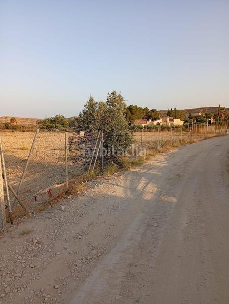 Foto 1cb7d1fd-47ce-420c-bd6b-5b0048ad6767. Rural plot in partida montnegre in Valle del Sol Mutxamel