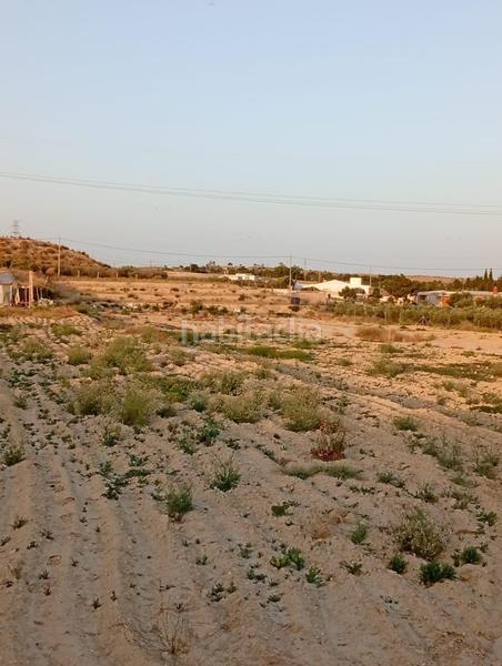 Foto 3c653fbf-a454-49cb-92d5-05d3c65f180e. Rural plot in partida montnegre in Valle del Sol Mutxamel