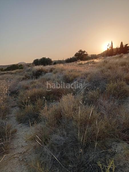 Foto 3ef896a9-fa83-4ccc-b871-150c6eaa0c72. Rural plot in partida montnegre in Valle del Sol Mutxamel