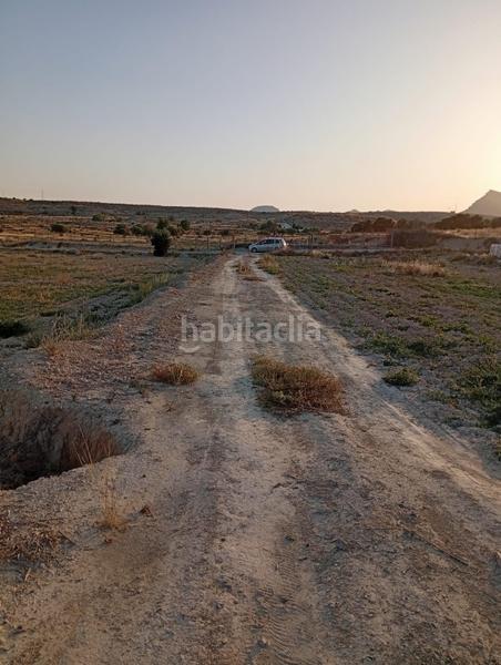 Foto 5dca9895-e526-486d-88bc-47b1f5159731. Rural plot in partida montnegre in Valle del Sol Mutxamel
