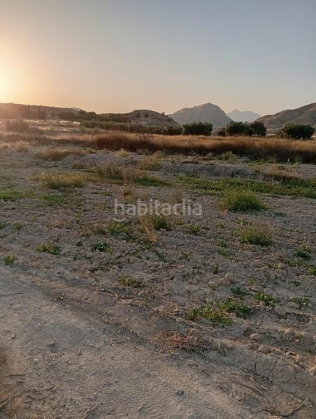 Foto 62db9379-3465-492b-bc88-81af75c724fa. Rural plot in partida montnegre in Valle del Sol Mutxamel
