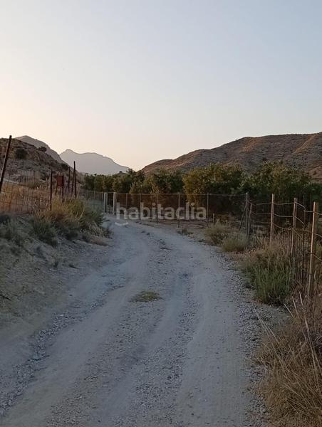 Foto 77174cb5-a438-465b-be79-9237784c7bc6. Rural plot in partida montnegre in Valle del Sol Mutxamel