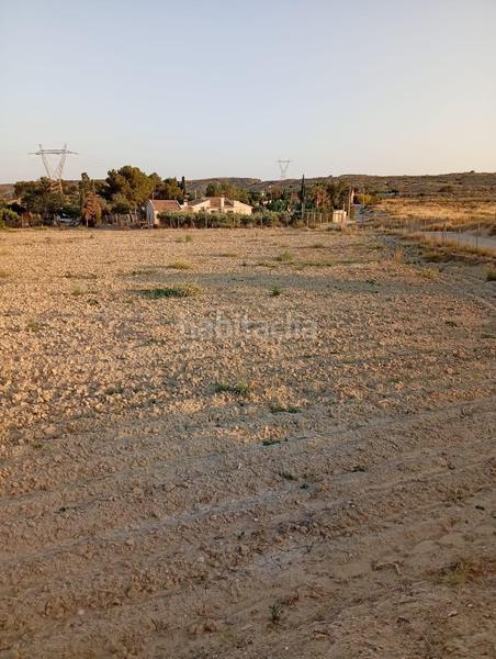 Foto 7d729218-4c05-4eab-84b8-f0969f8cf7c0. Rural plot in partida montnegre in Valle del Sol Mutxamel