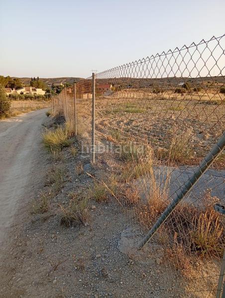 Foto 8d482678-445d-4d35-8f8c-817d41bf81aa. Rural plot in partida montnegre in Valle del Sol Mutxamel