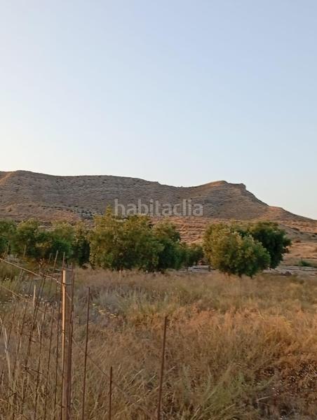 Foto 94be337d-8991-4d93-bbe5-e1847313d1d5. Rural plot in partida montnegre in Valle del Sol Mutxamel