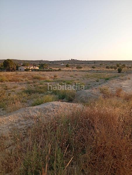 Foto 989a6eea-ead0-4df6-89f9-8802e53a93e2. Rural plot in partida montnegre in Valle del Sol Mutxamel