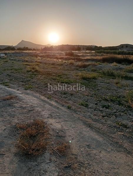 Foto a31f3635-db55-409b-a517-d672764d9dbf. Rural plot in partida montnegre in Valle del Sol Mutxamel