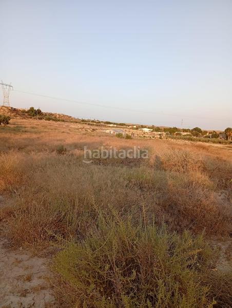 Foto b0f21b84-3a50-4561-b8c8-77f6b00059fd. Rural plot in partida montnegre in Valle del Sol Mutxamel