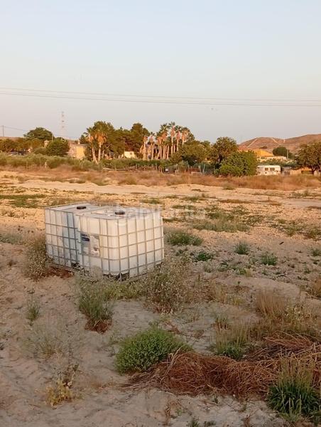 Foto b4391c40-42a9-45ef-bcdb-1671fd95e02c. Rural plot in partida montnegre in Valle del Sol Mutxamel