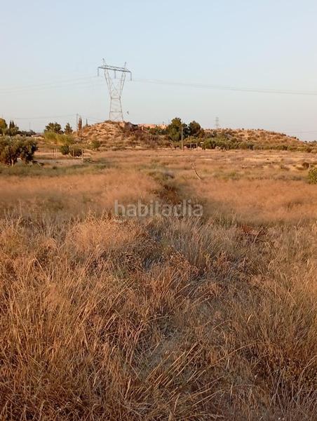 Foto dbee1348-7d88-4fba-ac81-97f5a9f777e4. Rural plot in partida montnegre in Valle del Sol Mutxamel