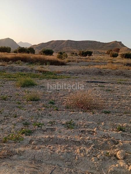 Foto e1c157a2-f827-45d9-8572-d59b77d13048. Rural plot in partida montnegre in Valle del Sol Mutxamel